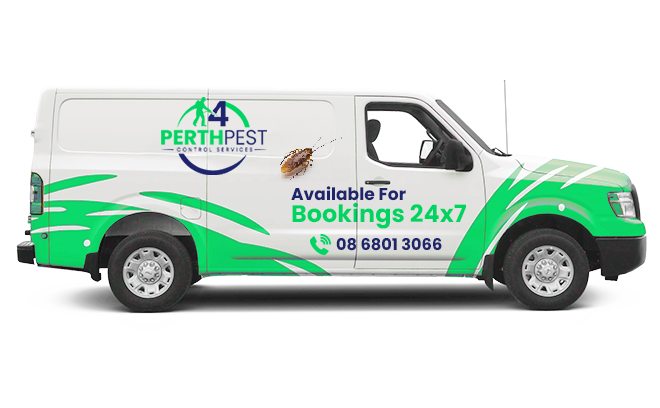 Perth Van